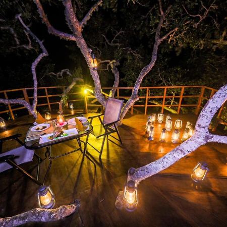 Tribe Yala - Luxury Camping 外观 照片