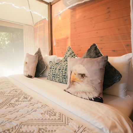 Tribe Yala - Luxury Camping 外观 照片