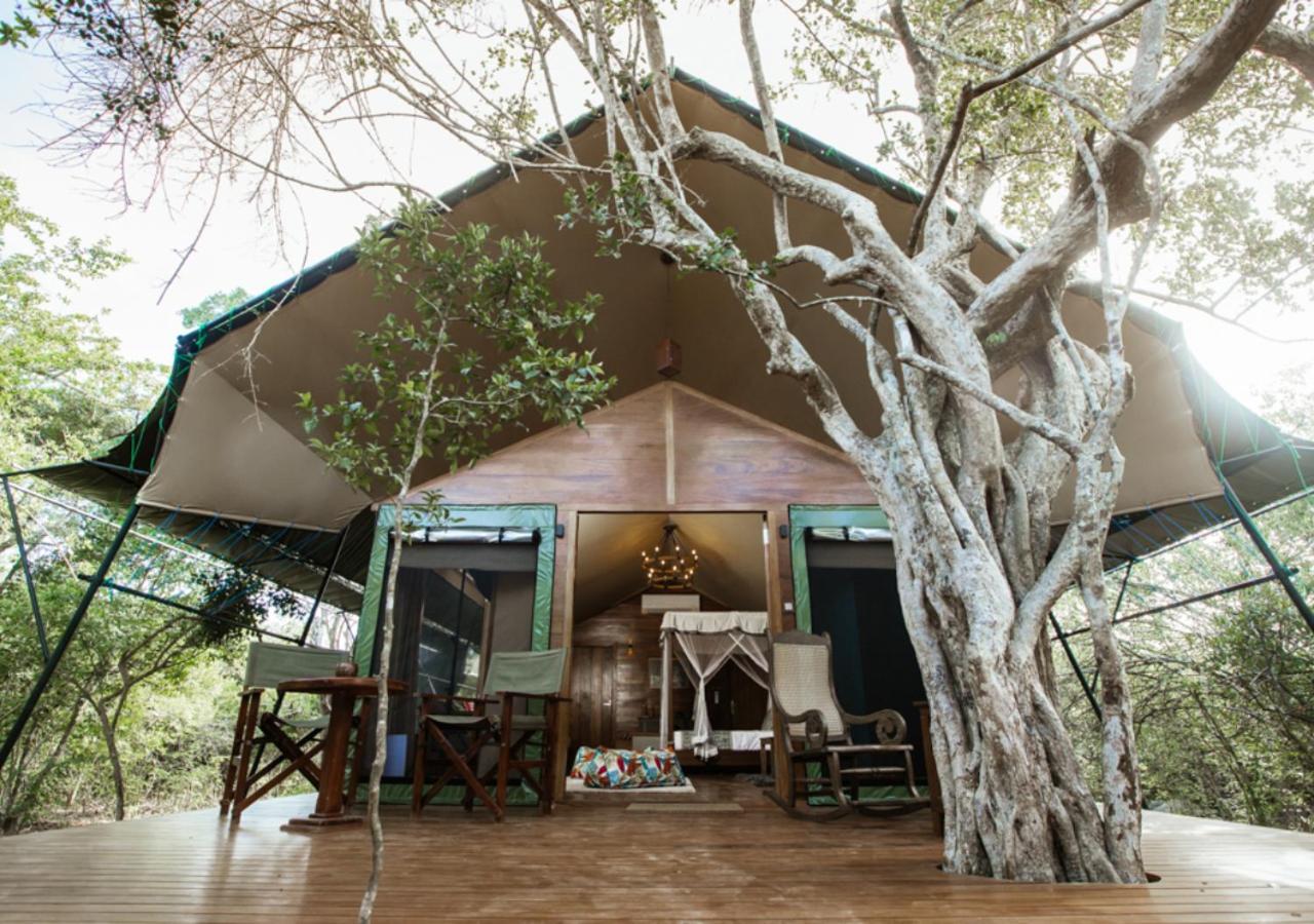 Tribe Yala - Luxury Camping 外观 照片