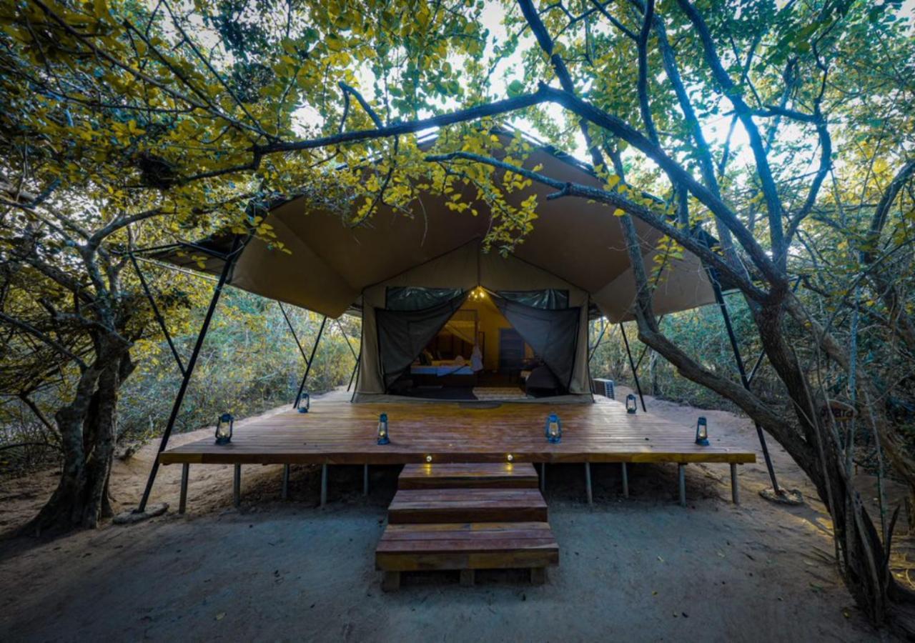 Tribe Yala - Luxury Camping 外观 照片